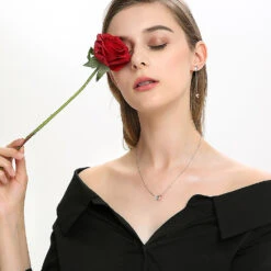 1 Piece Simple Style Heart Shape Sterling Silver Inlay Zircon Pendant Necklace -Cheap Jewelry Store 1637691850624208896