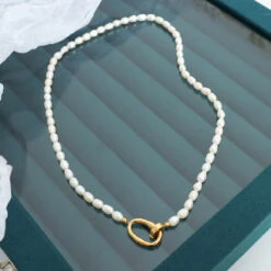 Lady Simple Style Solid Color Freshwater Pearl Titanium Steel Beaded Necklace -Cheap Jewelry Store 1661930019062157312 1