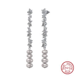 1 Pair Elegant Irregular Plating Inlay Sterling Silver Zircon Drop Earrings -Cheap Jewelry Store 1666689366635974656