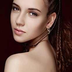 1 Pair Elegant Geometric Plating Inlay Sterling Silver Zircon Ear Studs -Cheap Jewelry Store 1666689468649836544