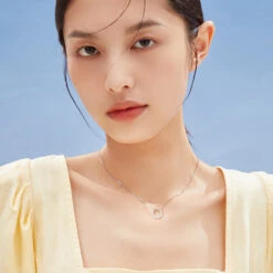 Elegant Simple Style Circle Sterling Silver White Gold Plated Zircon Necklace In Bulk -Cheap Jewelry Store 1669612214019035136 1