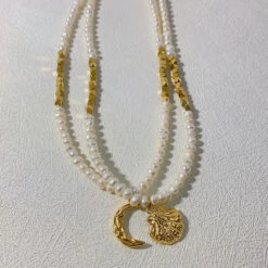 Simple Style Moon Shell Freshwater Pearl Titanium Steel Plating Necklace -Cheap Jewelry Store 1678329679033012224
